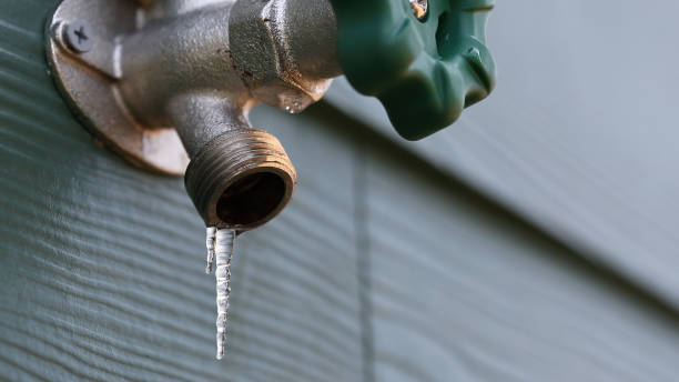 Best Local Plumber Services  in Ritzville, WA